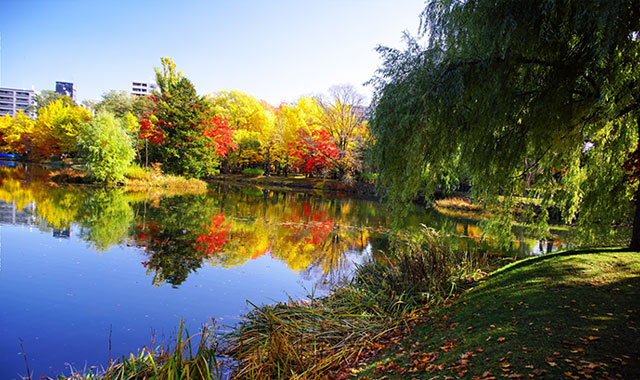 魅力あふれる周辺環境